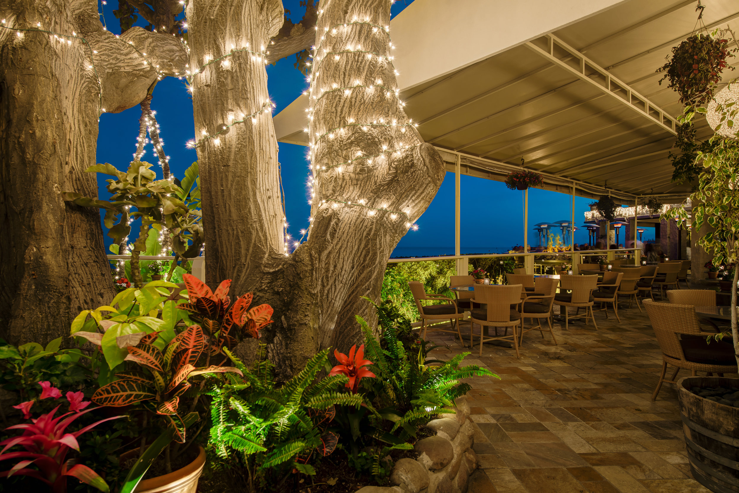 Gallery — Geoffrey's Malibu