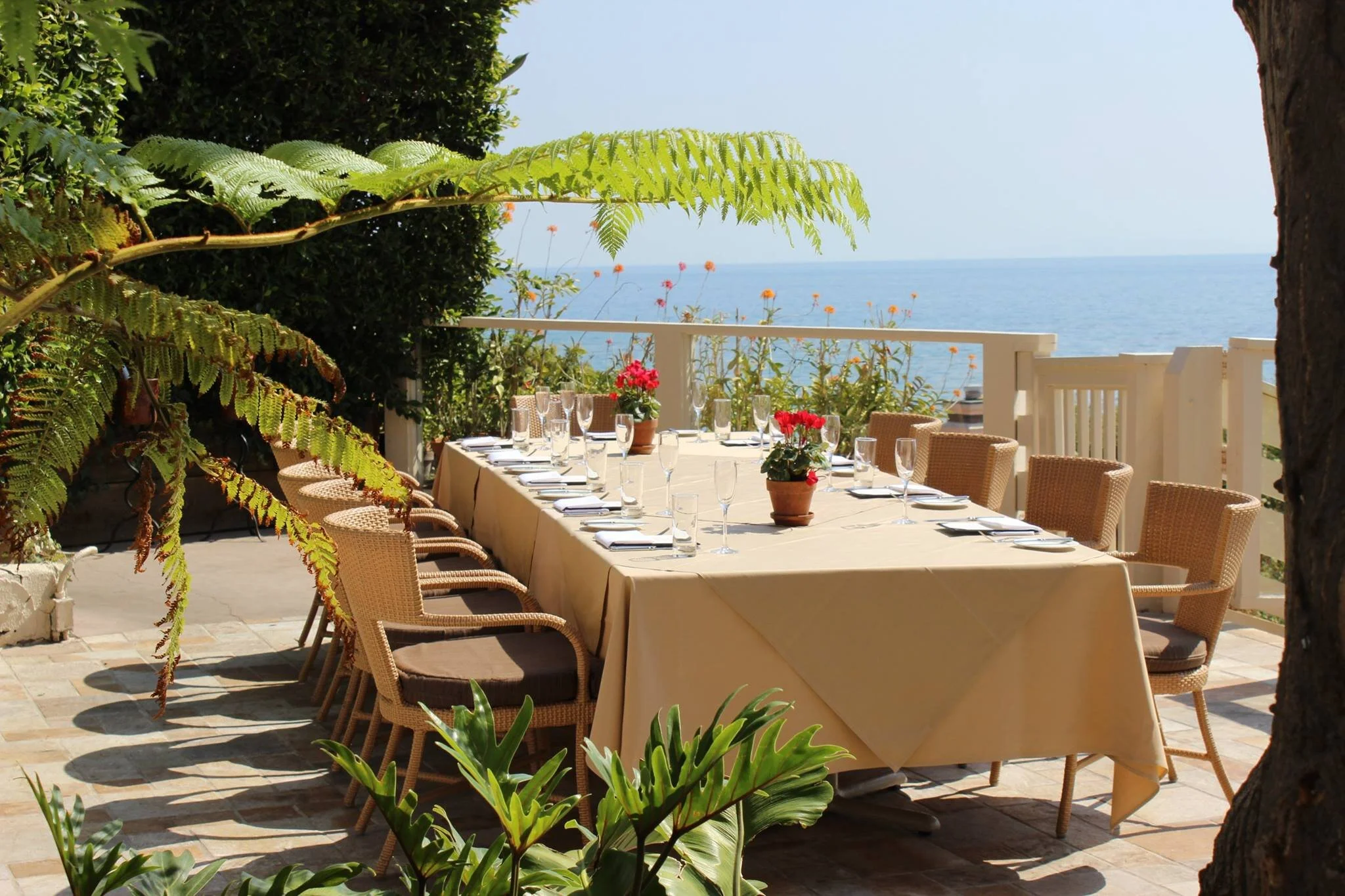 10629242_10154779129280037_3340676316888565419_o (1).jpg