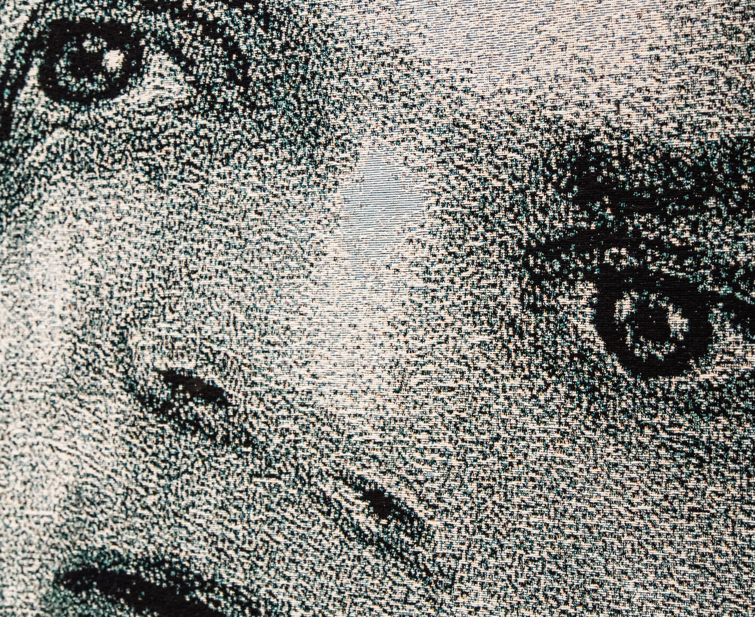 Der Raub/Stanford Rapist (close-up), 2016-2017, Jacquard tapestries, (2 panels), 104” x 74”