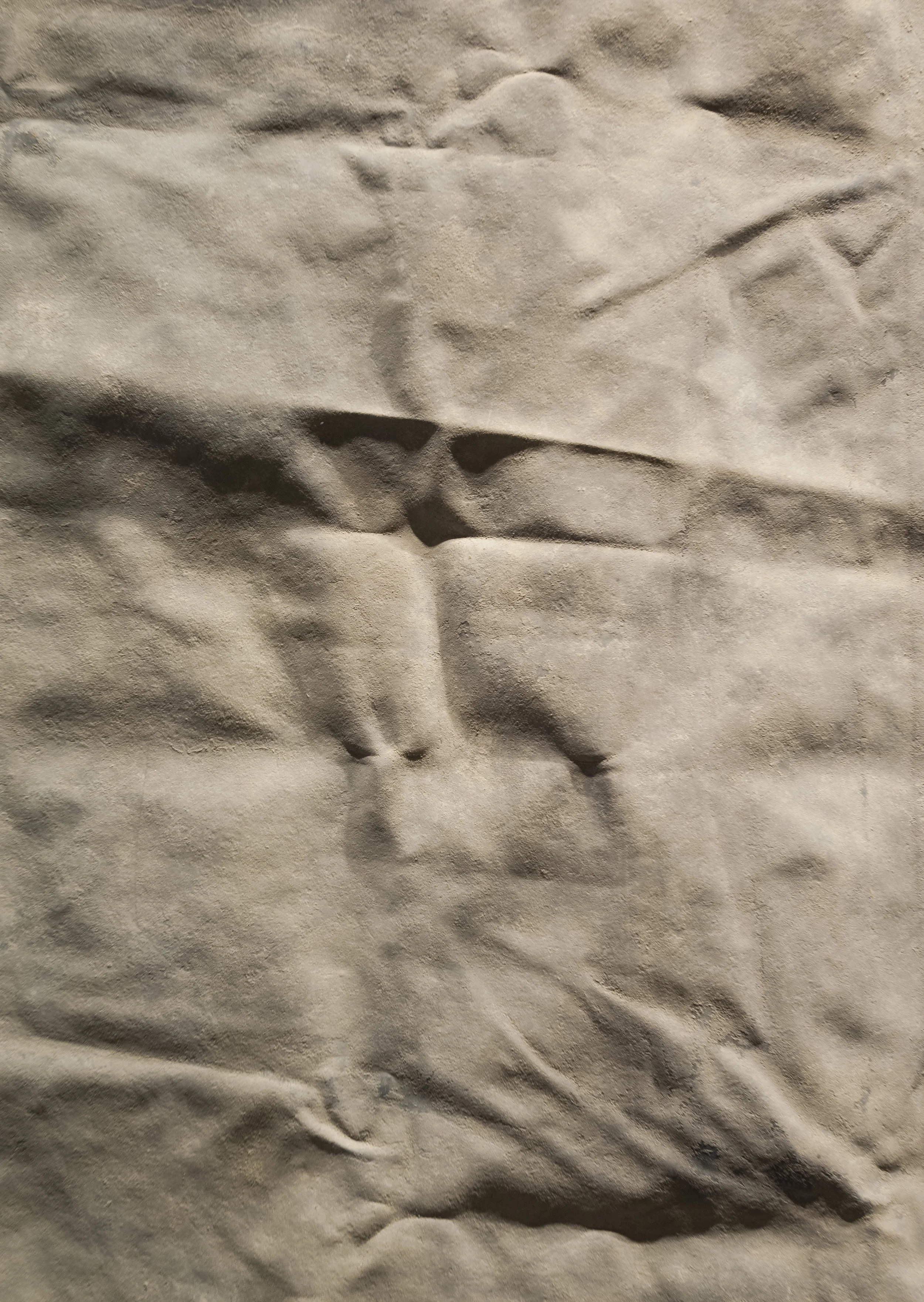 Hide , 2016-2017, Dirt on rubber, 168” x 120”