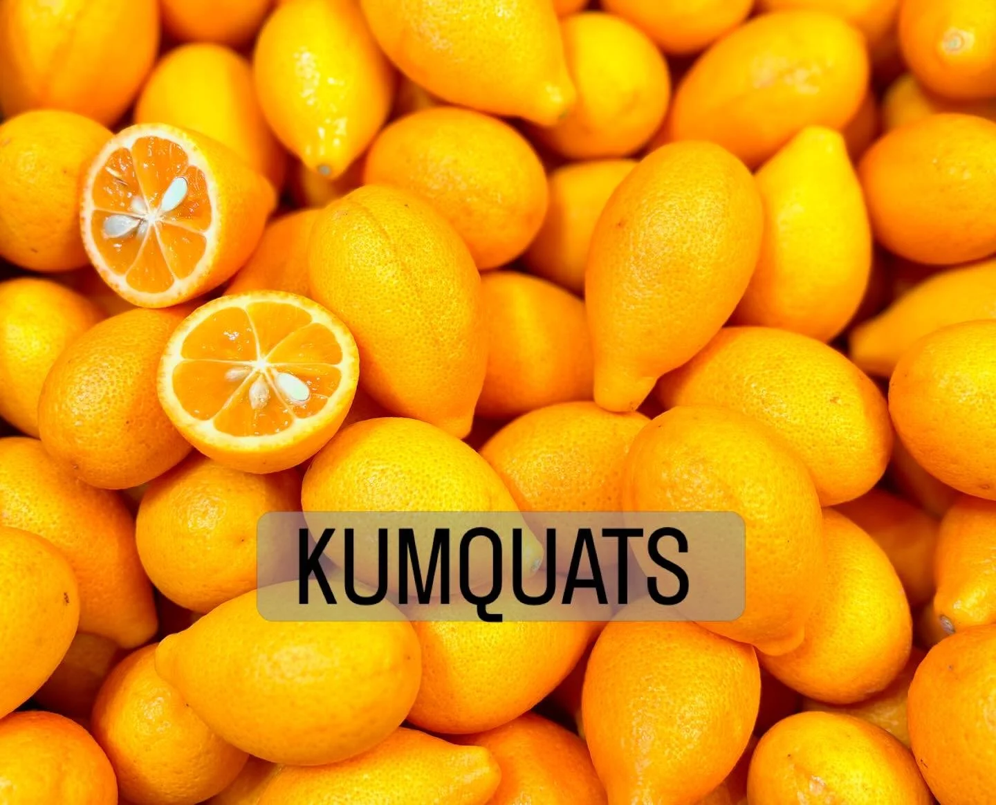 SO FRESH, all ORGANIC.