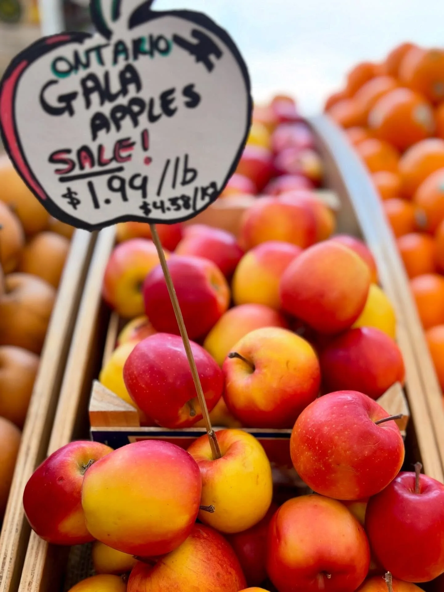 Last of this year&rsquo;s Ontario harvest&hellip; $1.99lb!!!

@primaorchards