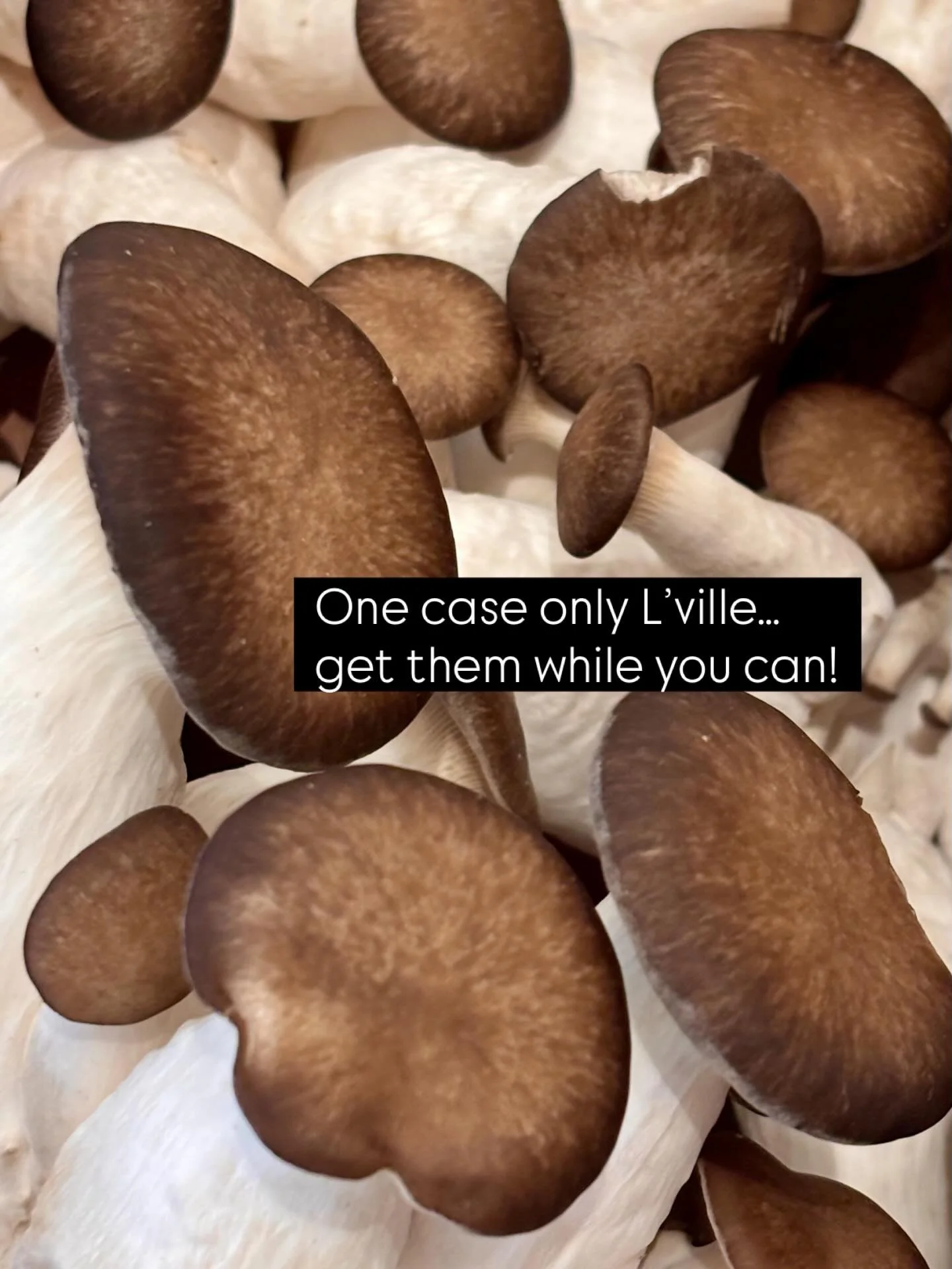 Thank you @wethmushrooms and @pfenningsfarm !