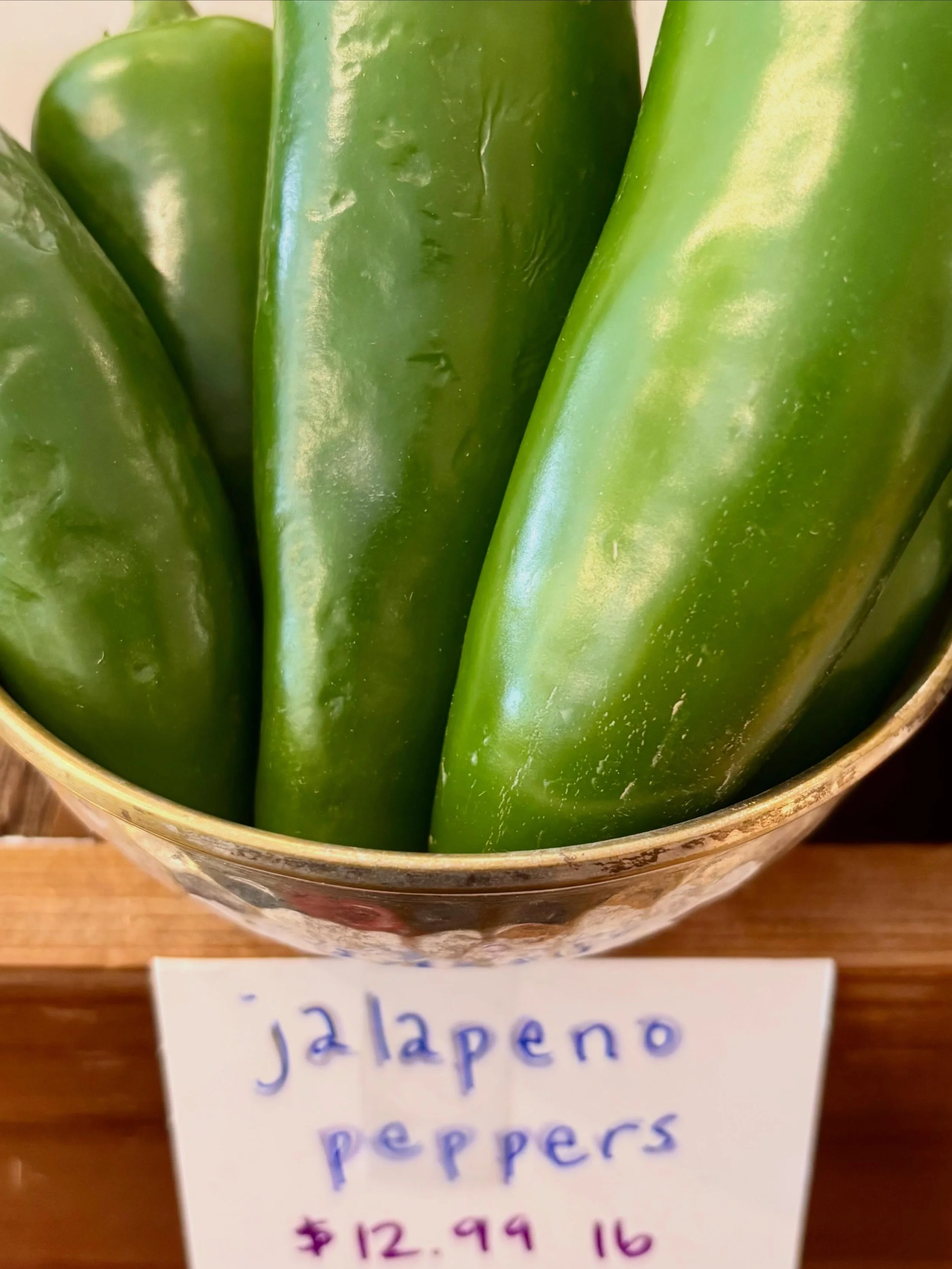 Jaleps are back!!!