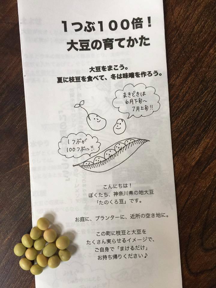5〜10粒を約1000セット、町中で配布しています