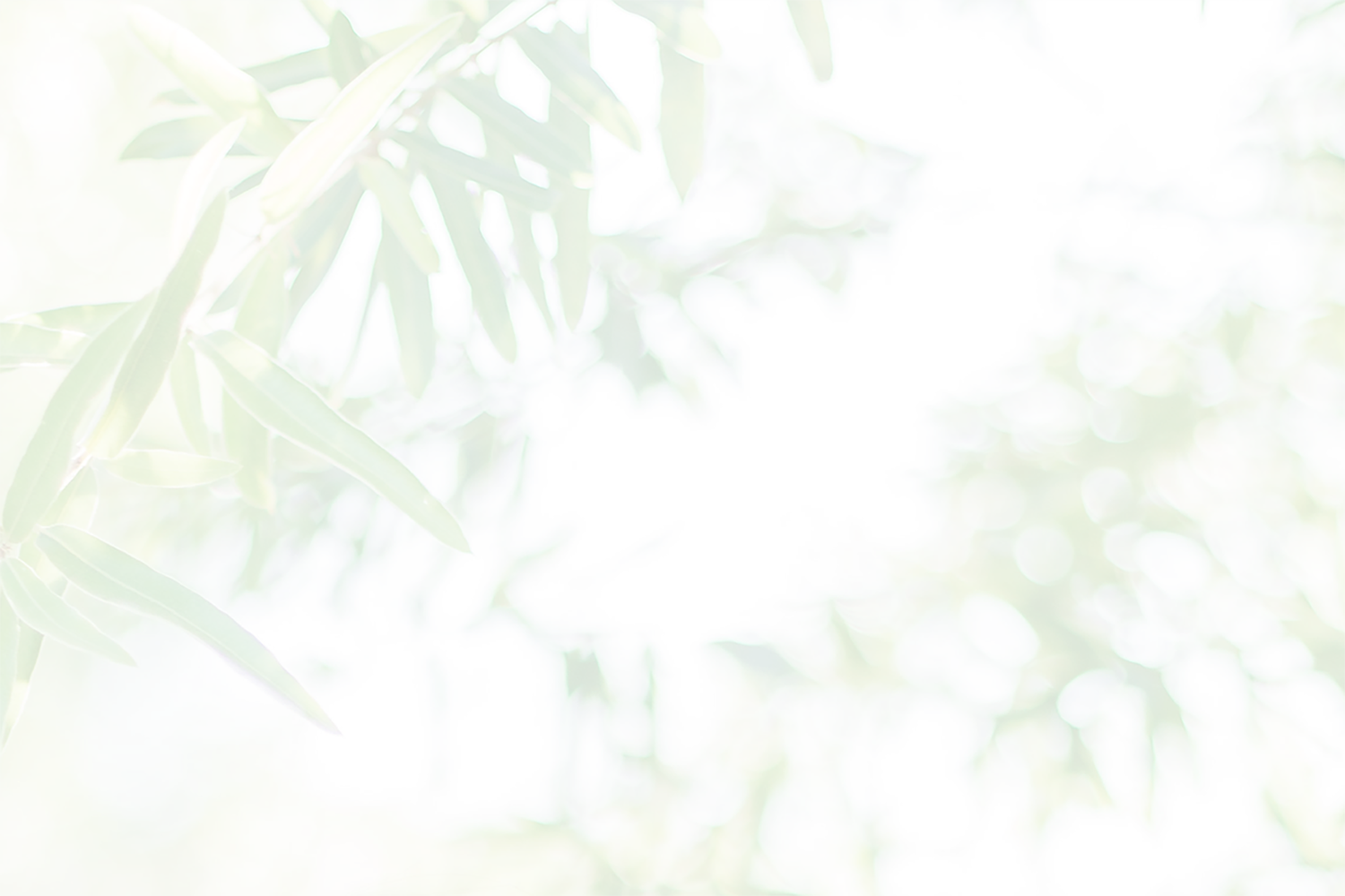 nature.png
