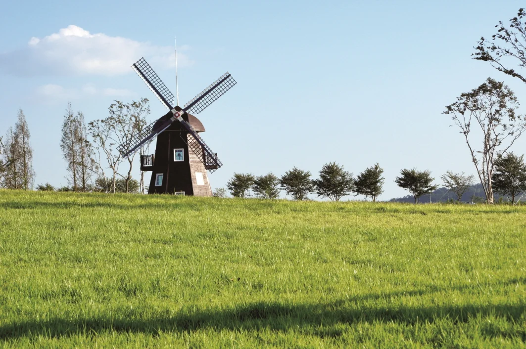 March 2018 Fiction Feature: Ali Saleh