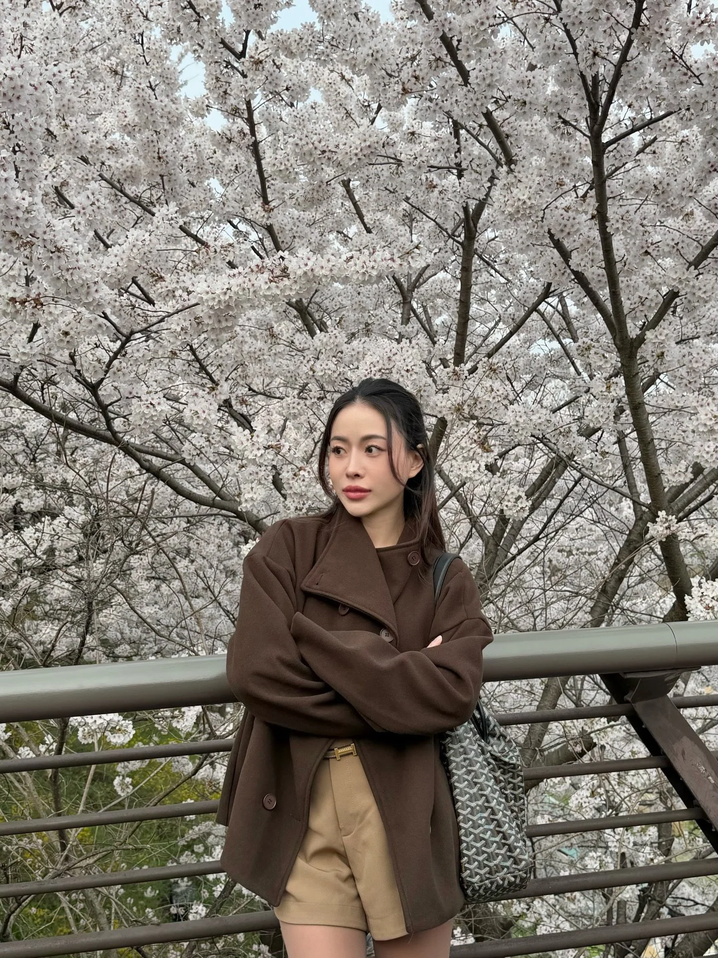 Seoul looks cute today 🌸🤍✨