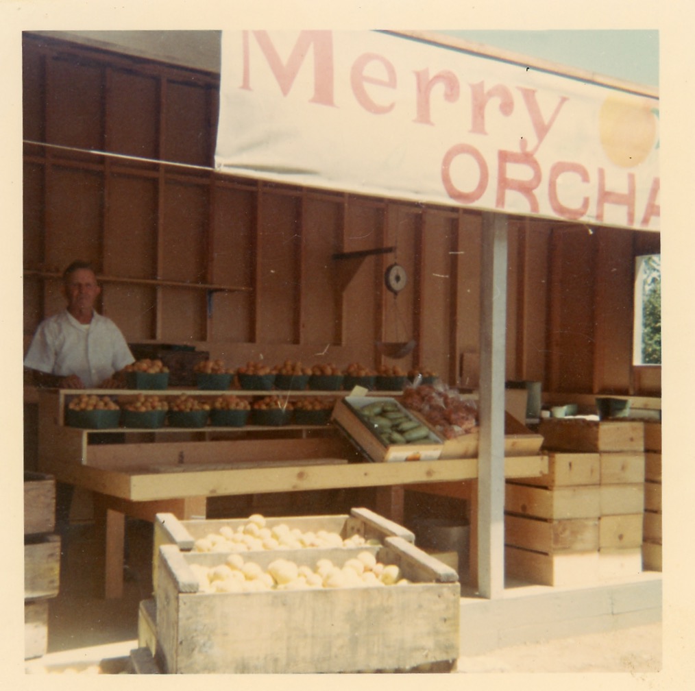 Merry Rose 1968
