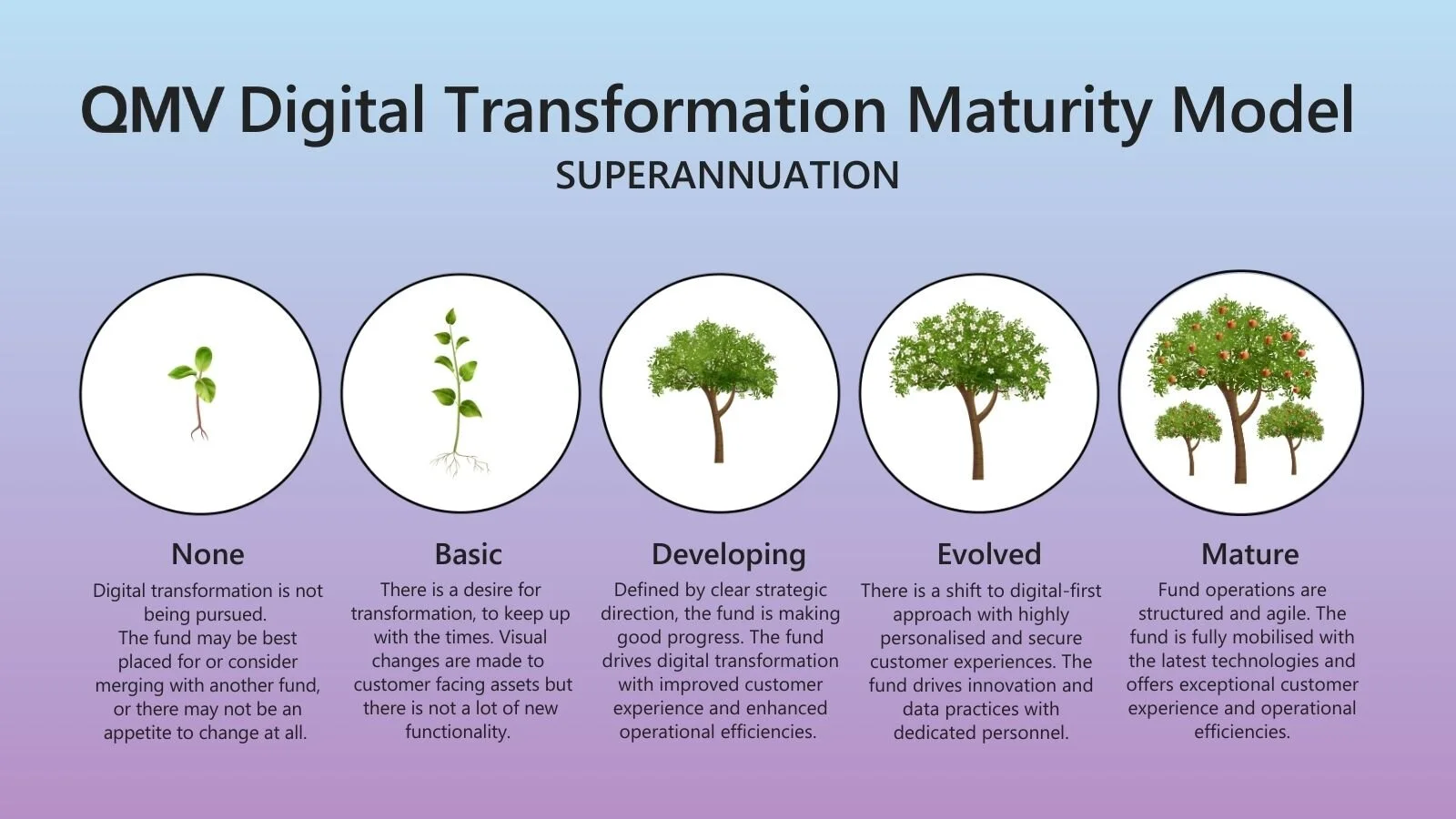 Digital Transformation Maturity Model Superannuation — QMV Advisory