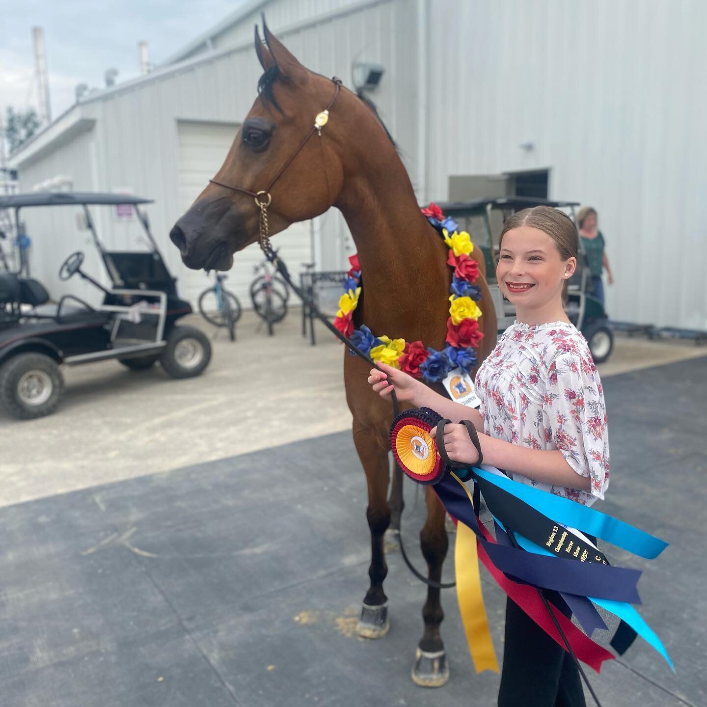 🌟Friday was a HUGE day at Region 13! 🌟
Champions-Unanimously!!!
Vindicator XX and Ellie Galvin 
PB Gelding JTH
TWC Rock N Roll and Jayla Johnson
HA Hunt Pl JOTR 14 and under

Champion-
Icon PA and Ellie Galvin
PB Western Pl JOTR 14 and under

TOP 5