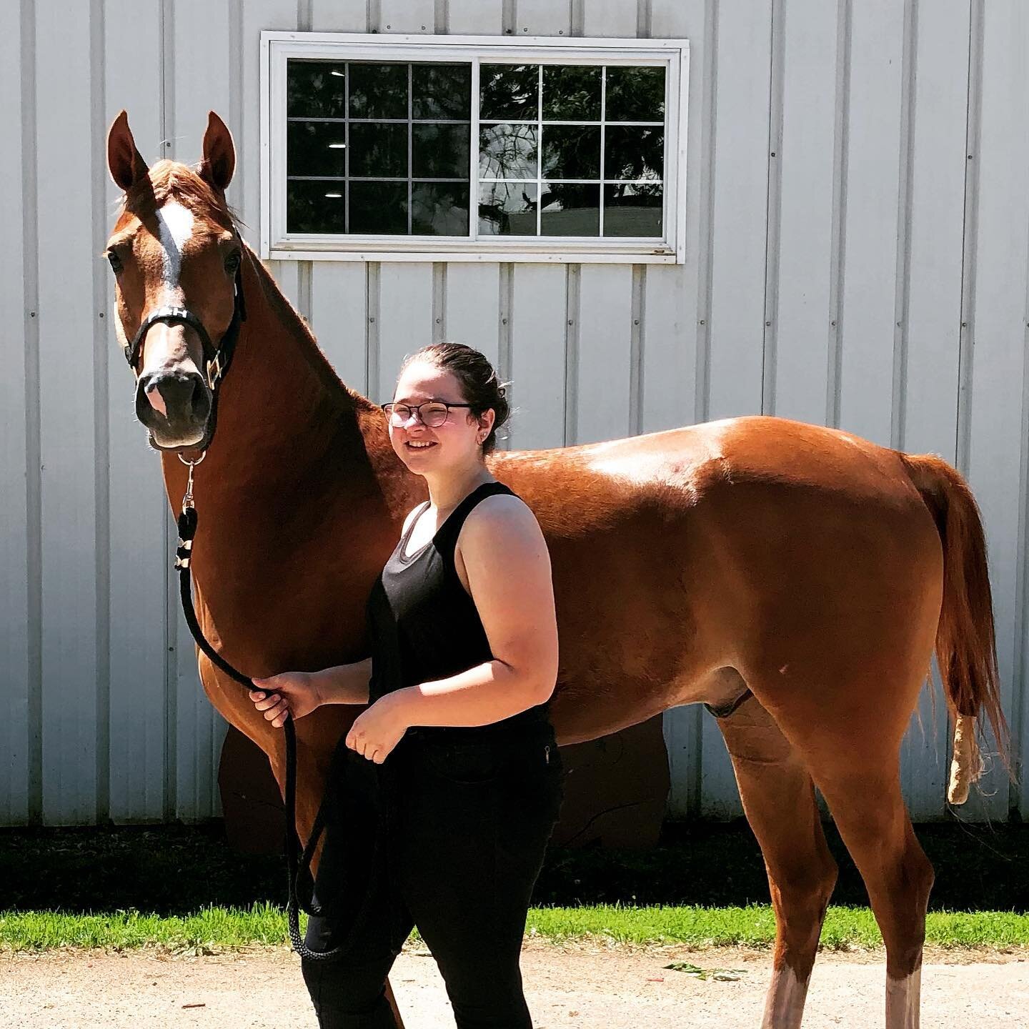 Talk about happiness! Congrats to Bella and her family on the purchase of this handsome gelding Prince Stival LD 💕 their future is very bright 🤩