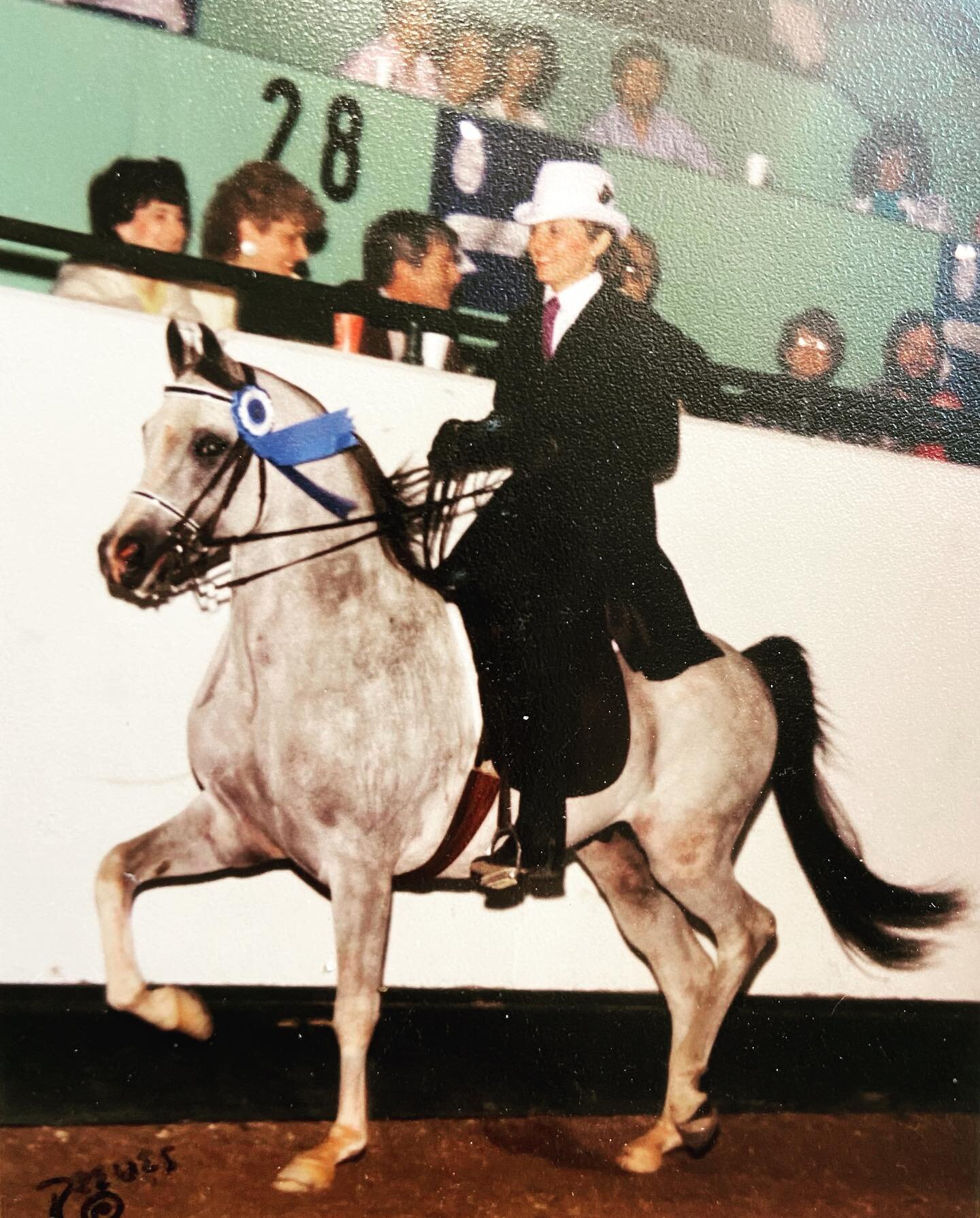 The infamous Fire Bask with Gail
Purebred English stallion owned by Paul Emerson
circa 1985