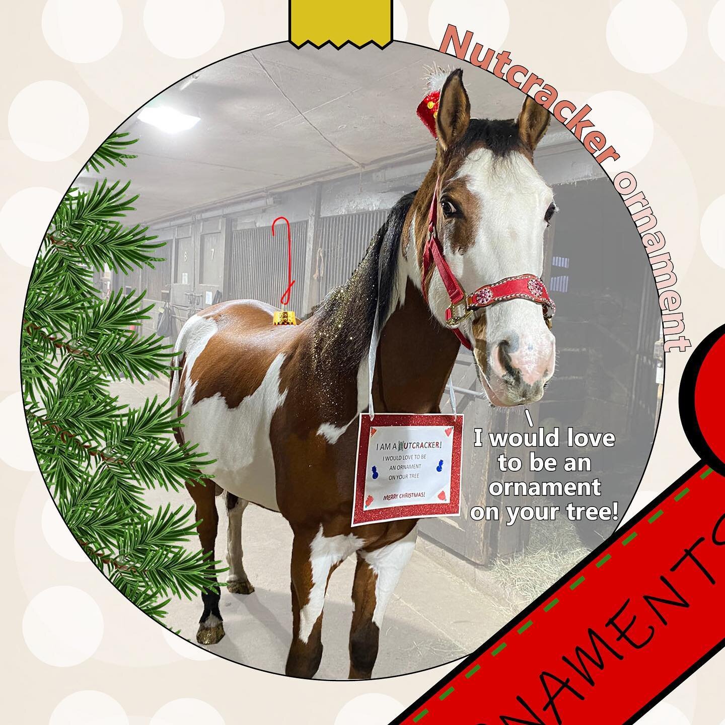 Merry Christmas and Happy Holidays to all on this white Christmas! 

Wanted to share some pics from our horse and stall decorating contest!