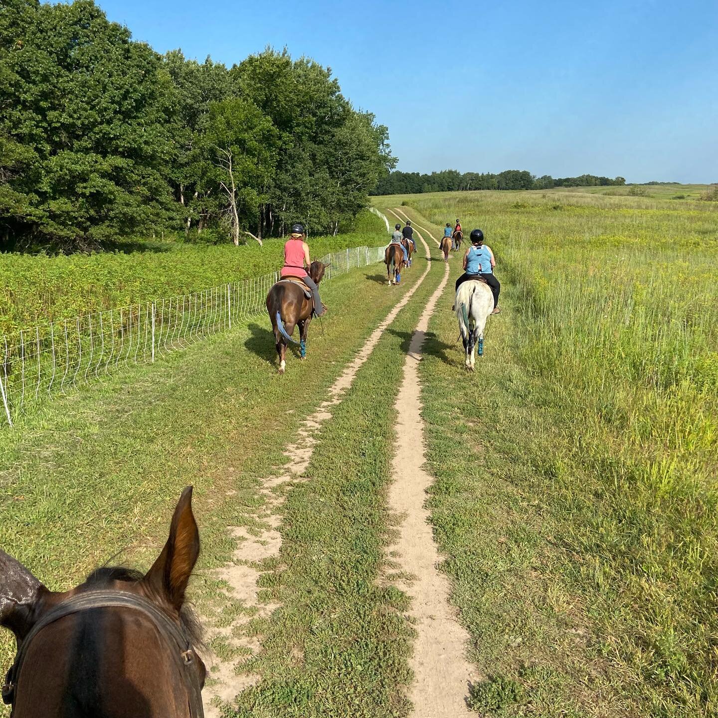 A great summer trail ride with clients ❤️