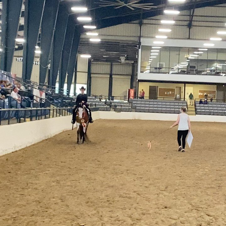 Saturday Results
Reserve Champion 
Pablo Cruiser G and Brenda Bindert
HA Western Pl 55 and over
Top 5
Icon PA and Lily Timmons
Western horsemanship JTR