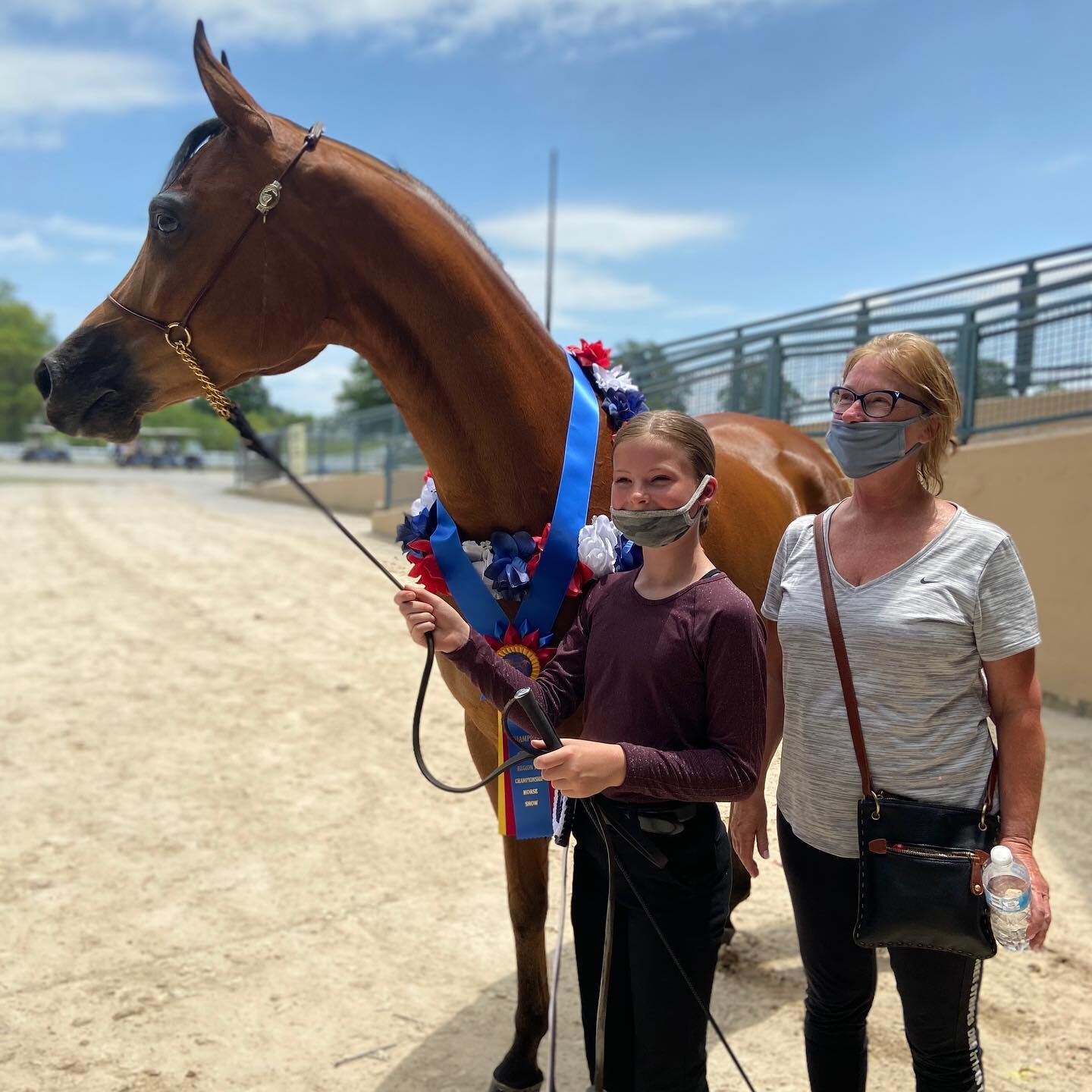 Friday was a busy busy day! Really nice classes for our riders and very competitive!
Proud of all of you!
Unanimous CHAMPION 
Gelding Halter JTH
Vindicator XX and Ellie Galvin
Reserve Champion
Pablo Cruiser G and Lily Timmons
Ellie 
Showmanship JTH
I