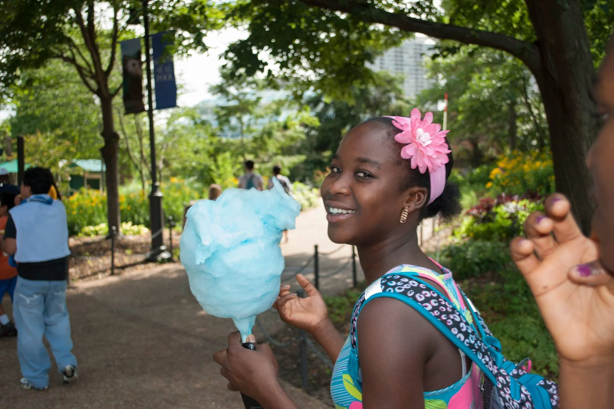 Cultural Activity: Lincoln Park Zoo
