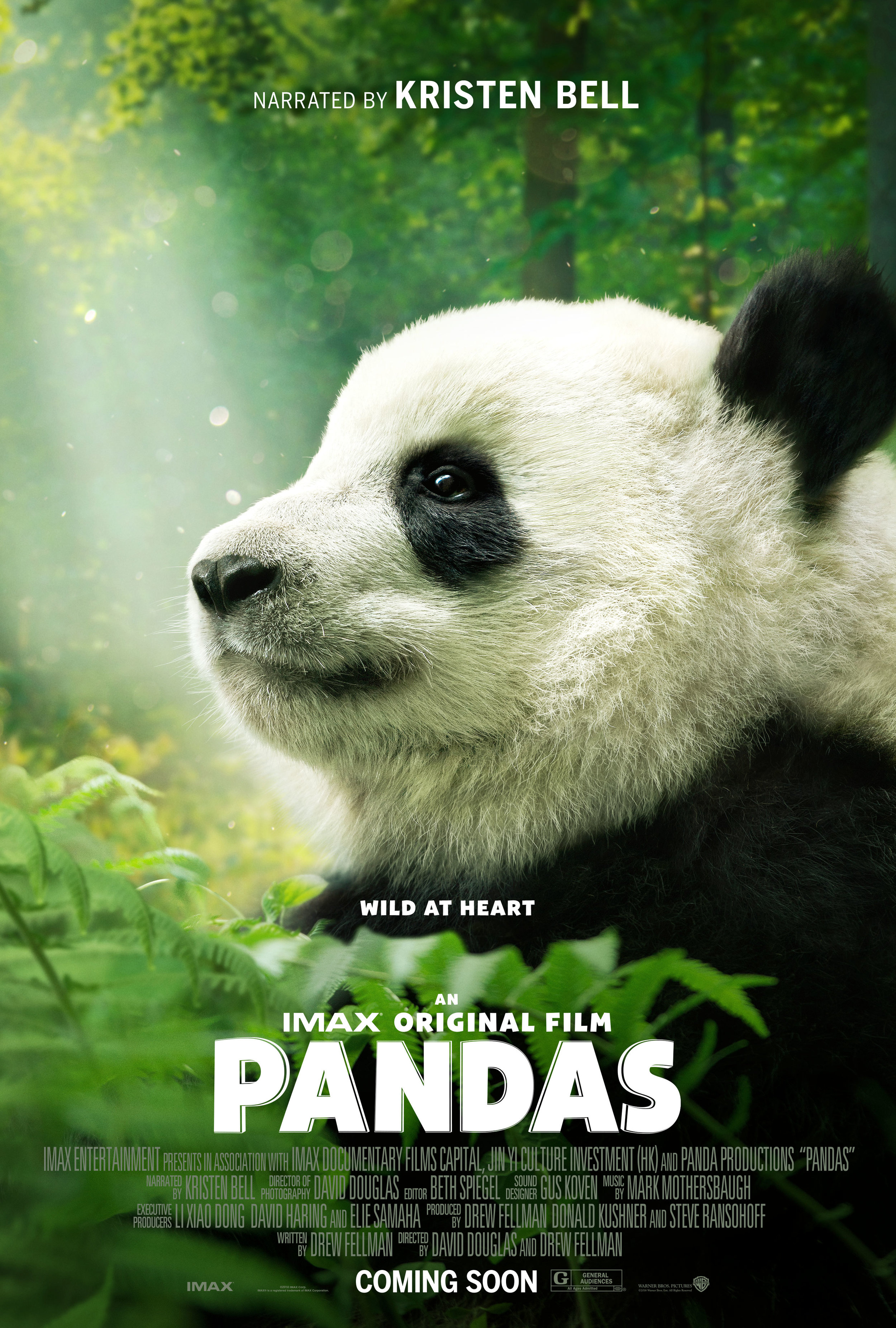 Pandas Poster Image.jpg
