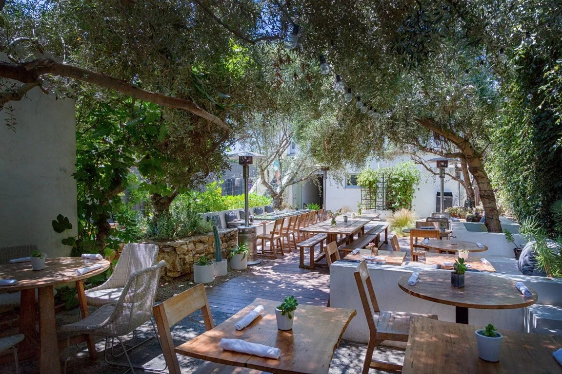 Photo: Plant Food + Wine | Venice, CA