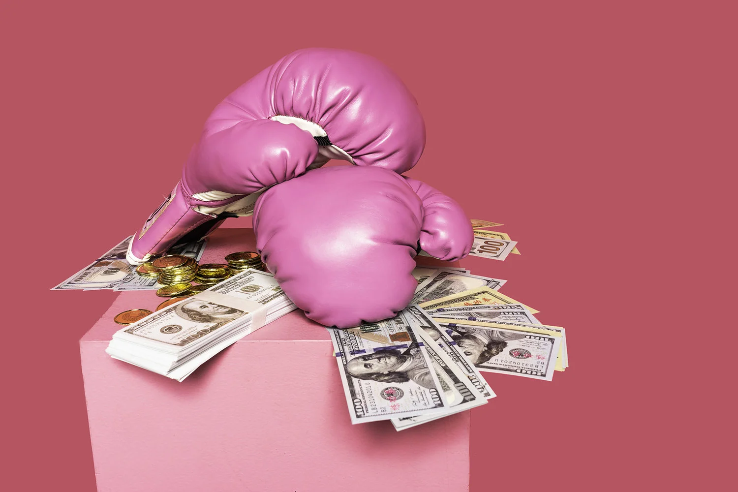 Boxing_gloves_LR_DSC00481_E.jpg