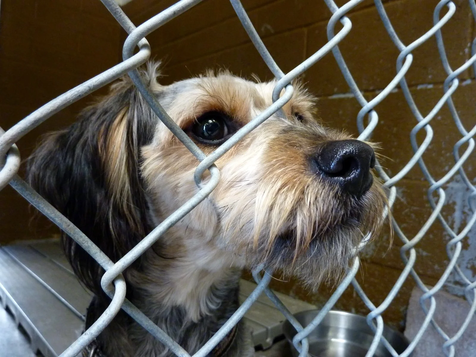 shelter.jpg