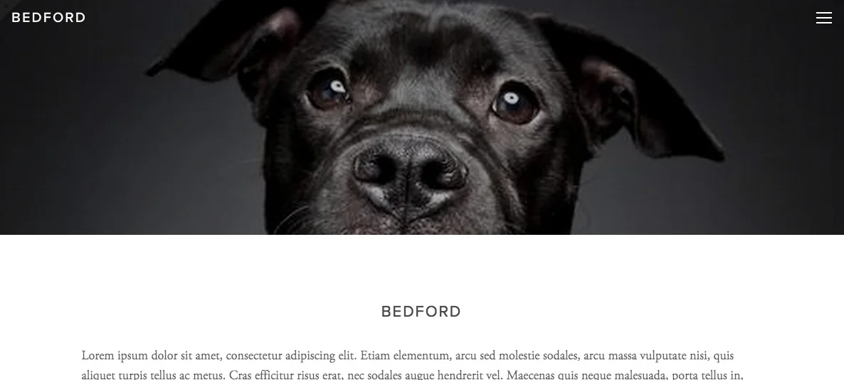 Squarespace-Punto-Focal.jpg