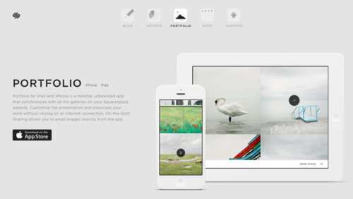 Squarespace Portfolio.png