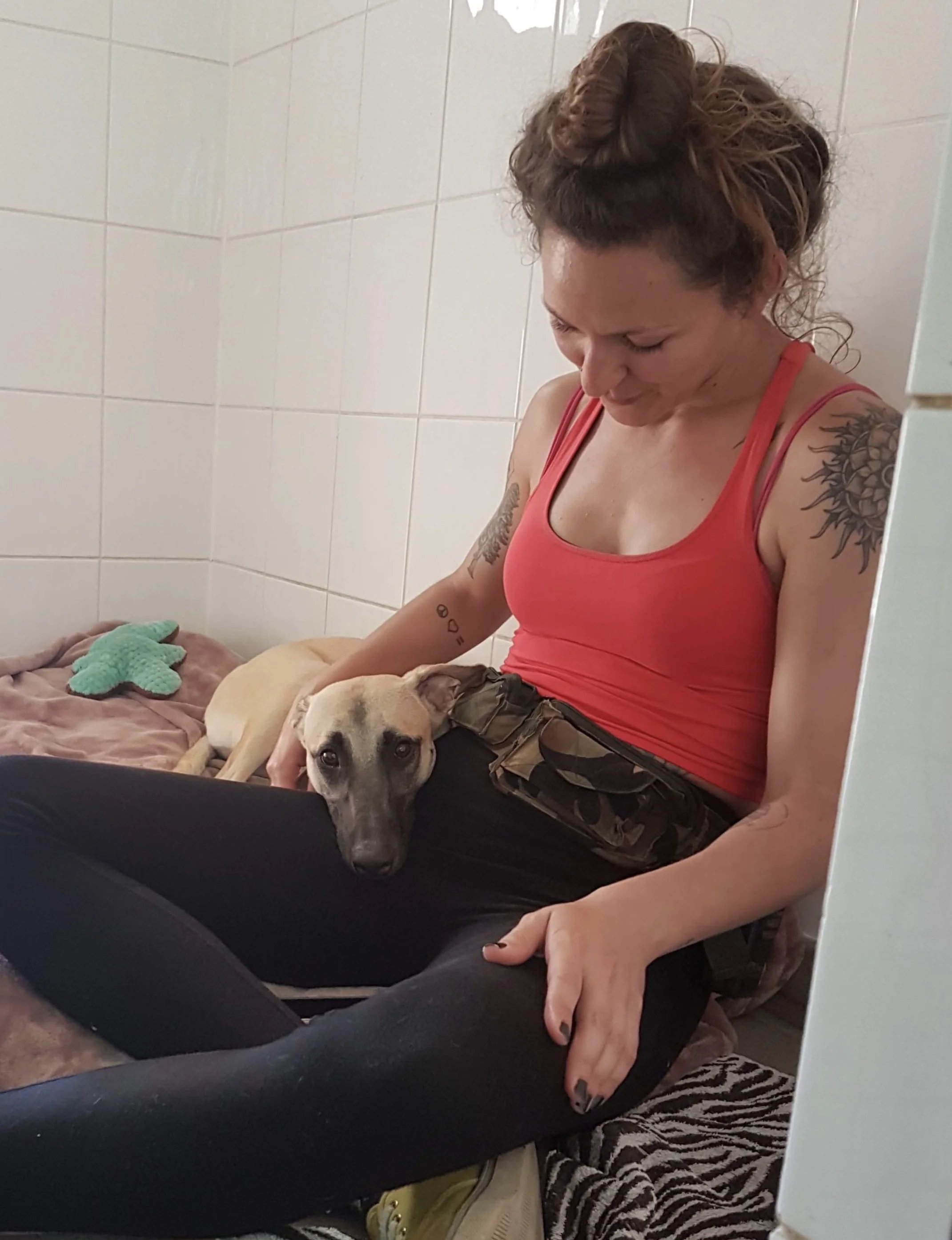 8123: The School For Compassion & Kindness