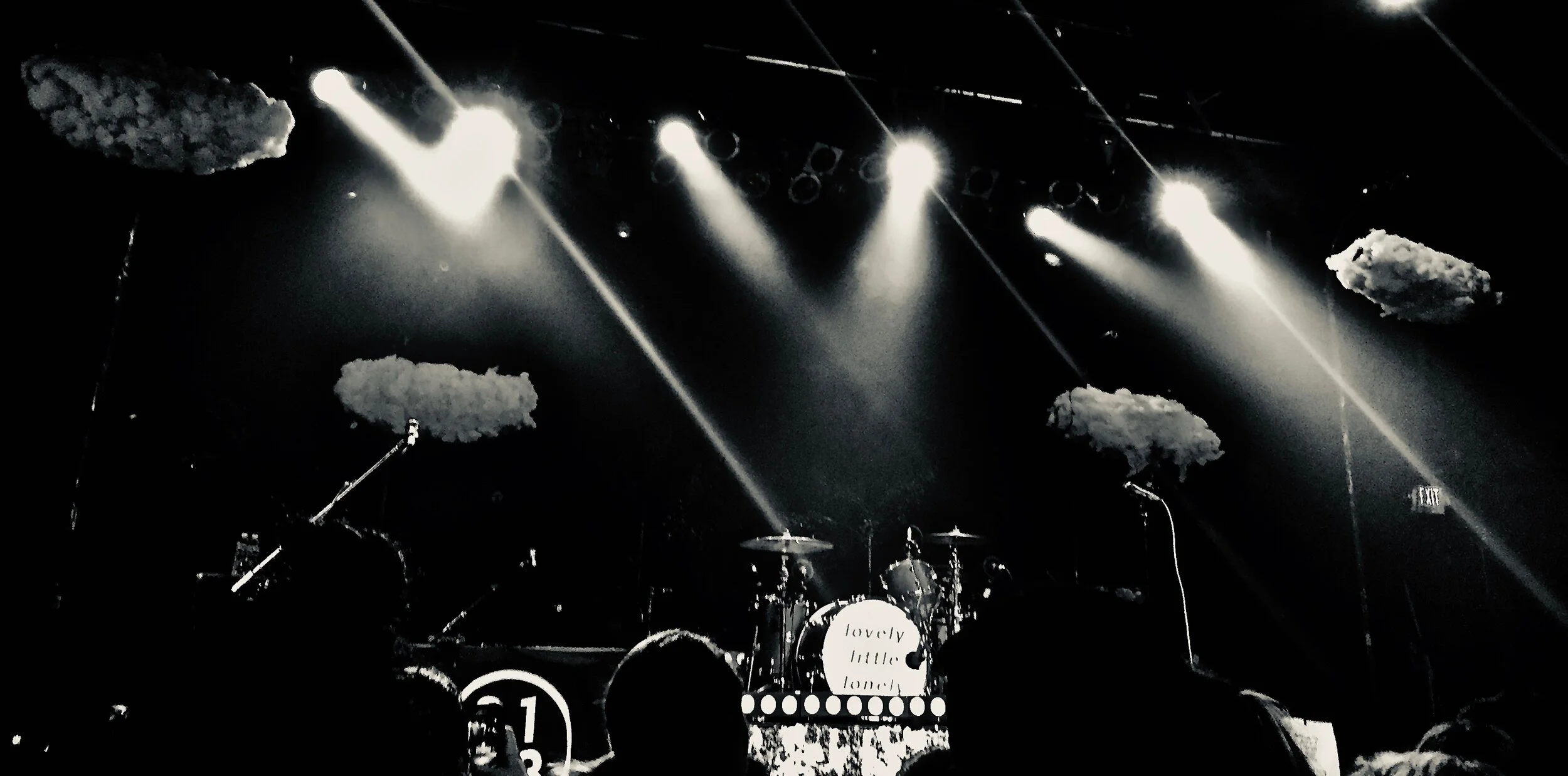 Guest Blog: Attending Shows as a Disabled Fan