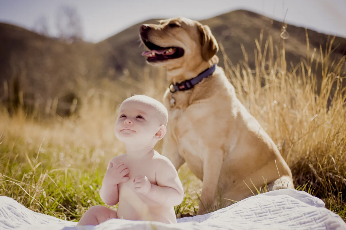 Sawyer 6 Months_025