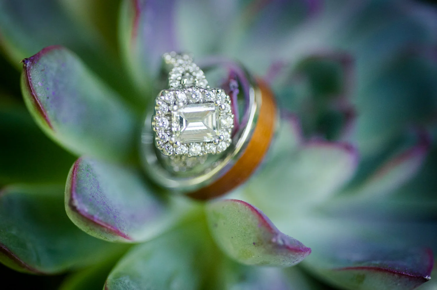 wedding-details-images-008.jpg