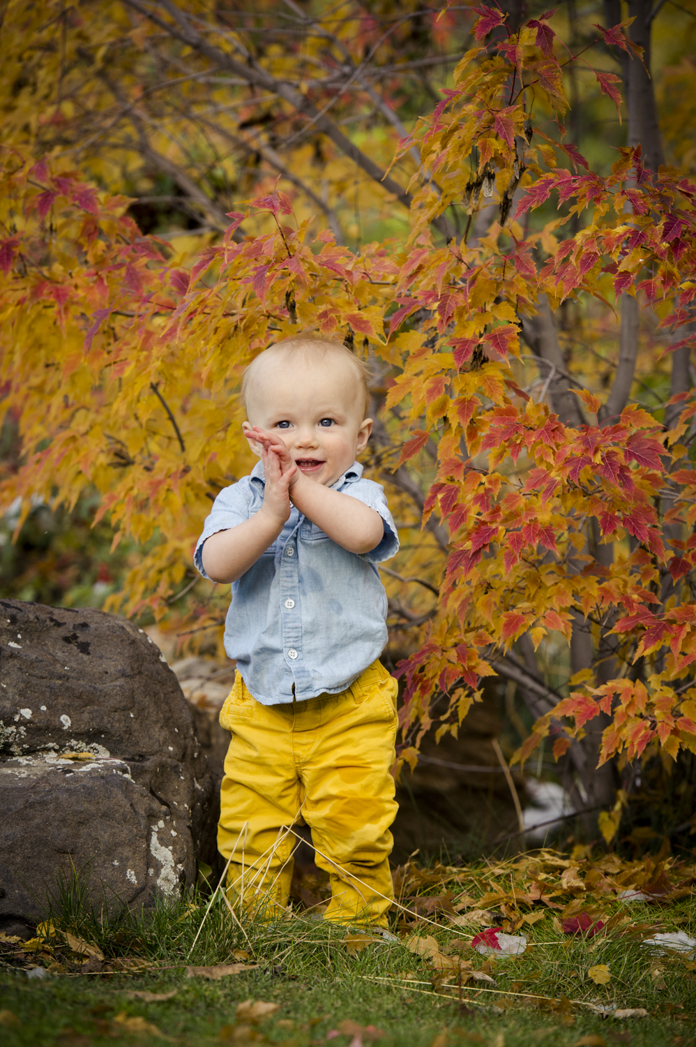 fall_lifestyle_family_leaves_candid_playing-007.jpg