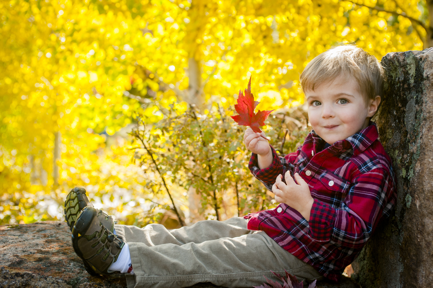 fall_lifestyle_family_leaves_candid_playing-021.jpg