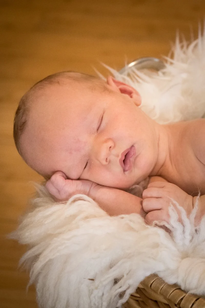 Fred, Hilary and Jake Newborn_107.jpg