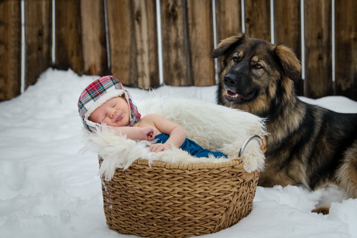 Fred, Hilary and Jake Newborn_118-Edit.jpg