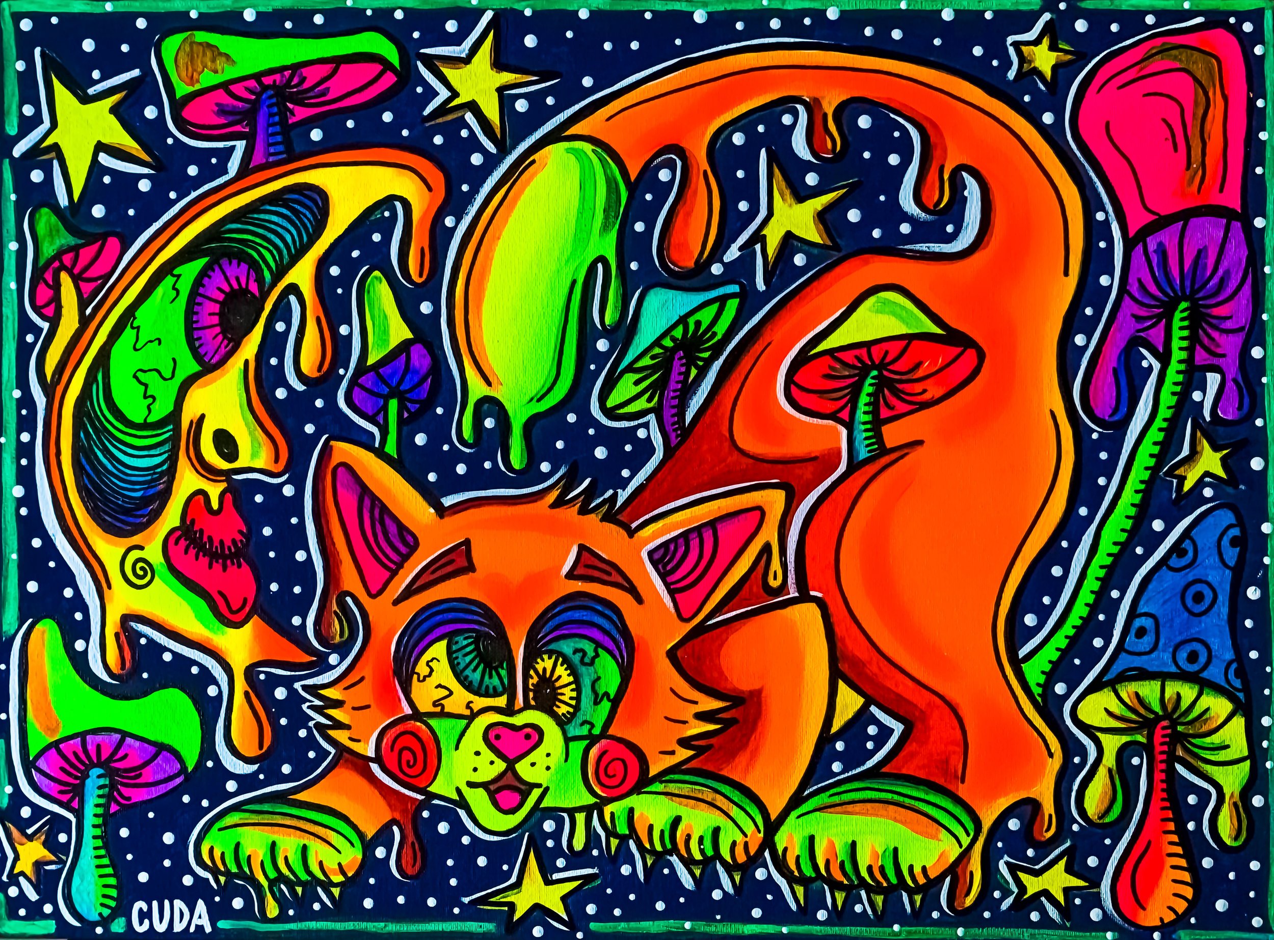 Trippy Cat.jpg