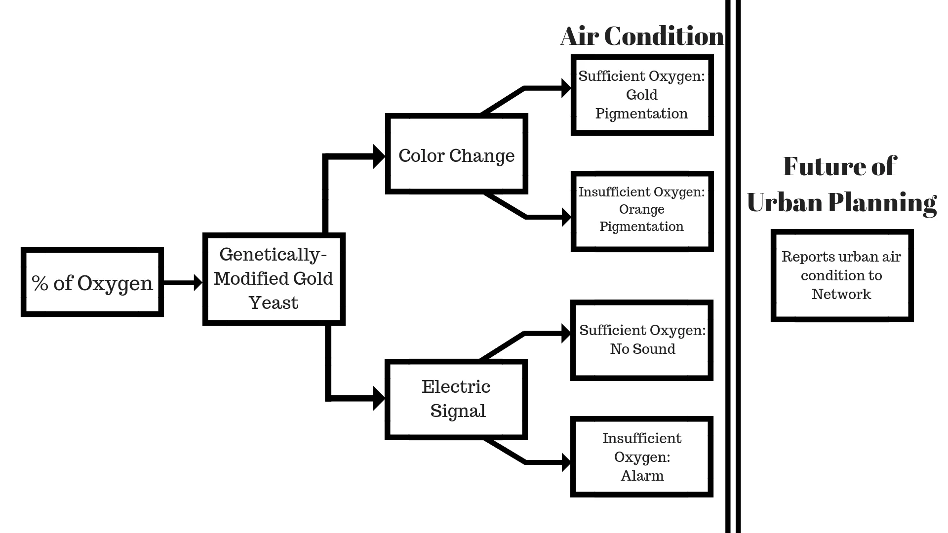 A chain process diagram of Sensaira’s outputs.
