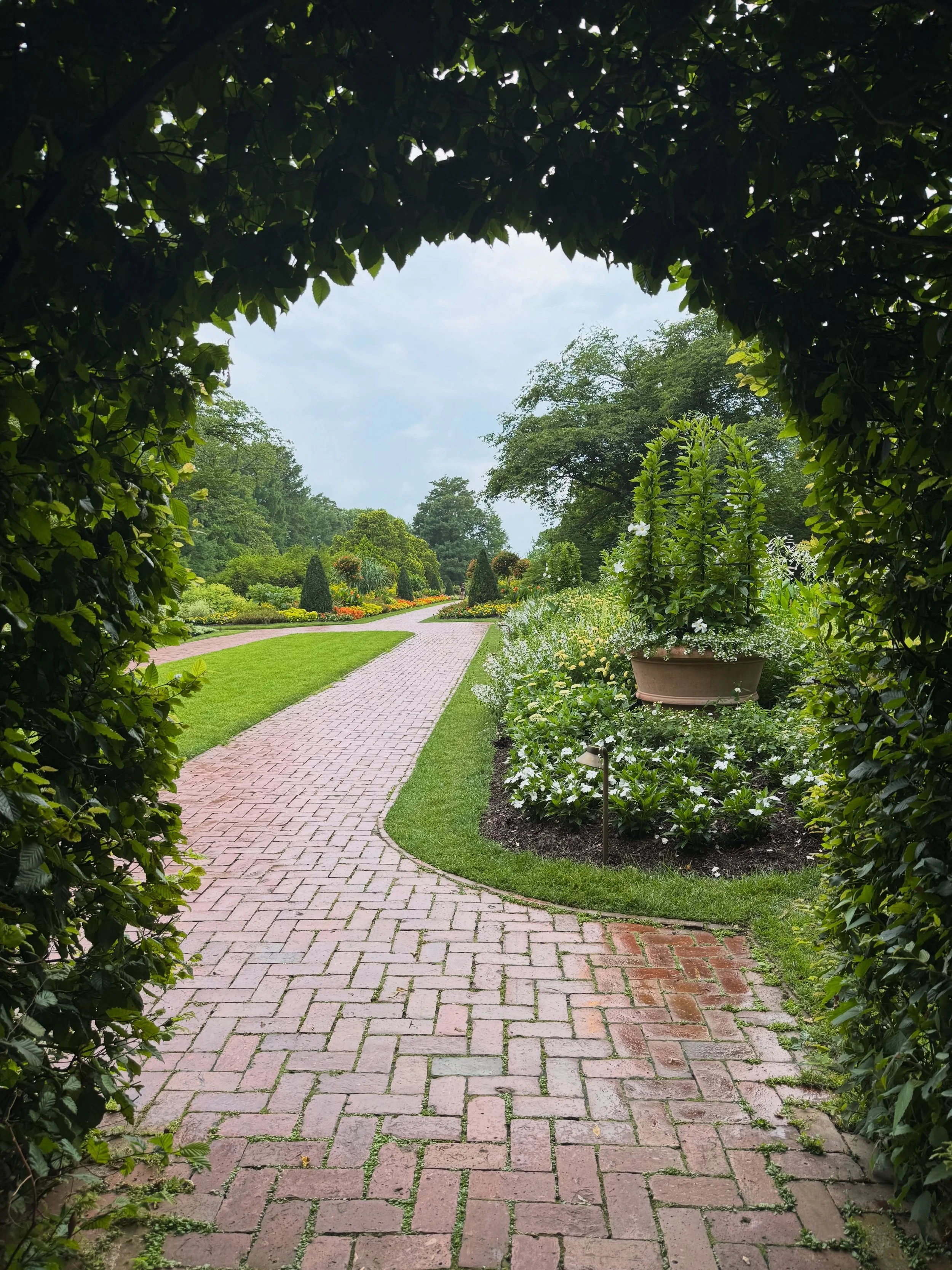 Also, a belated post for the new round of #audiodescription at @longwoodgardens 🌿🌷🌳

I am grateful beyond words to work with the team at Longwood to make the gardens more accessible for blind and low vision individuals by offering AD at more than 