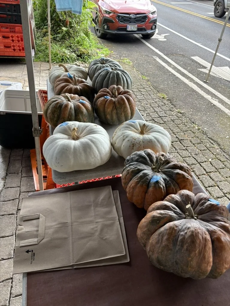 heirloom pumpkins.jpeg