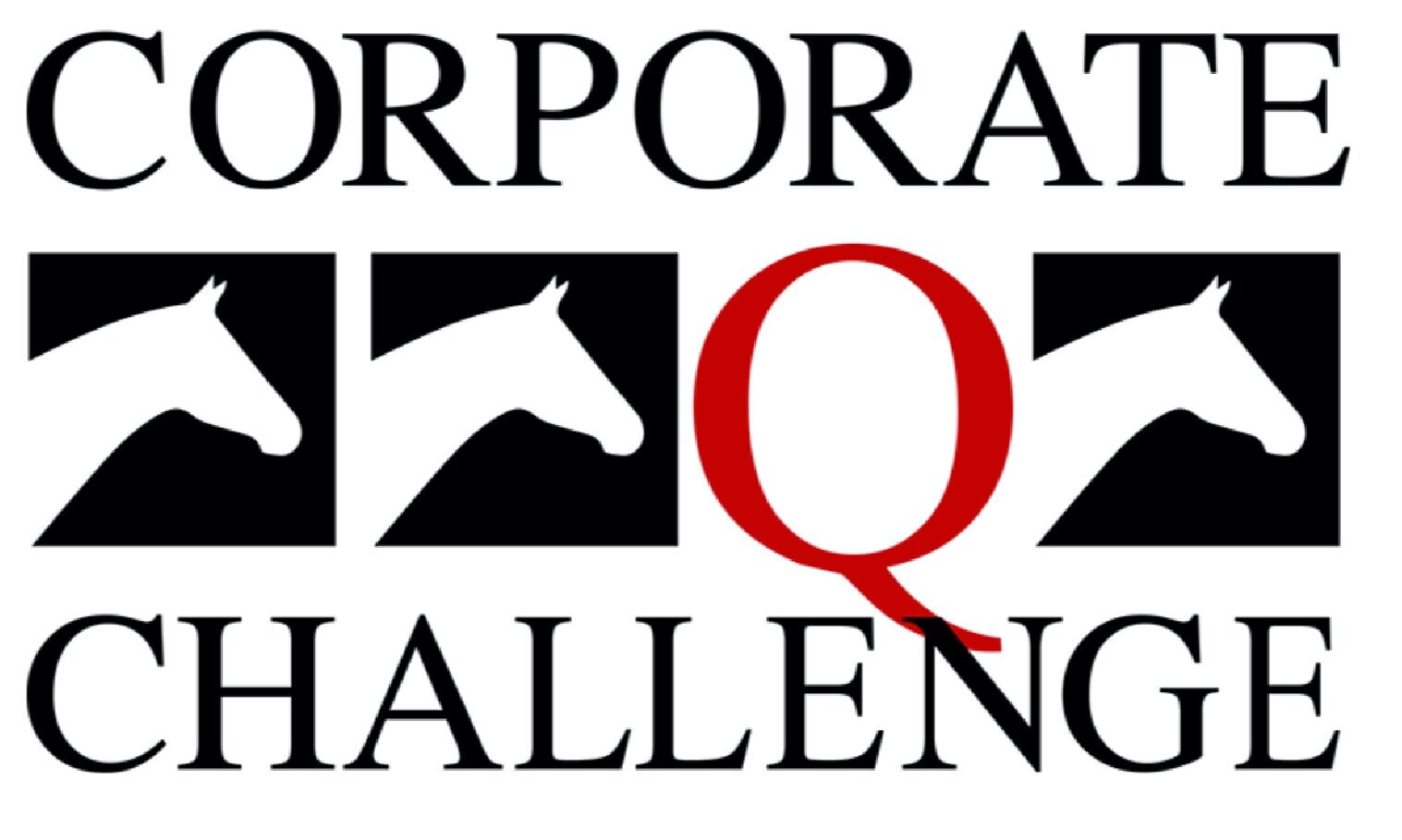 Minnesota Amateur Quarter Horse Association Corporate Challenge