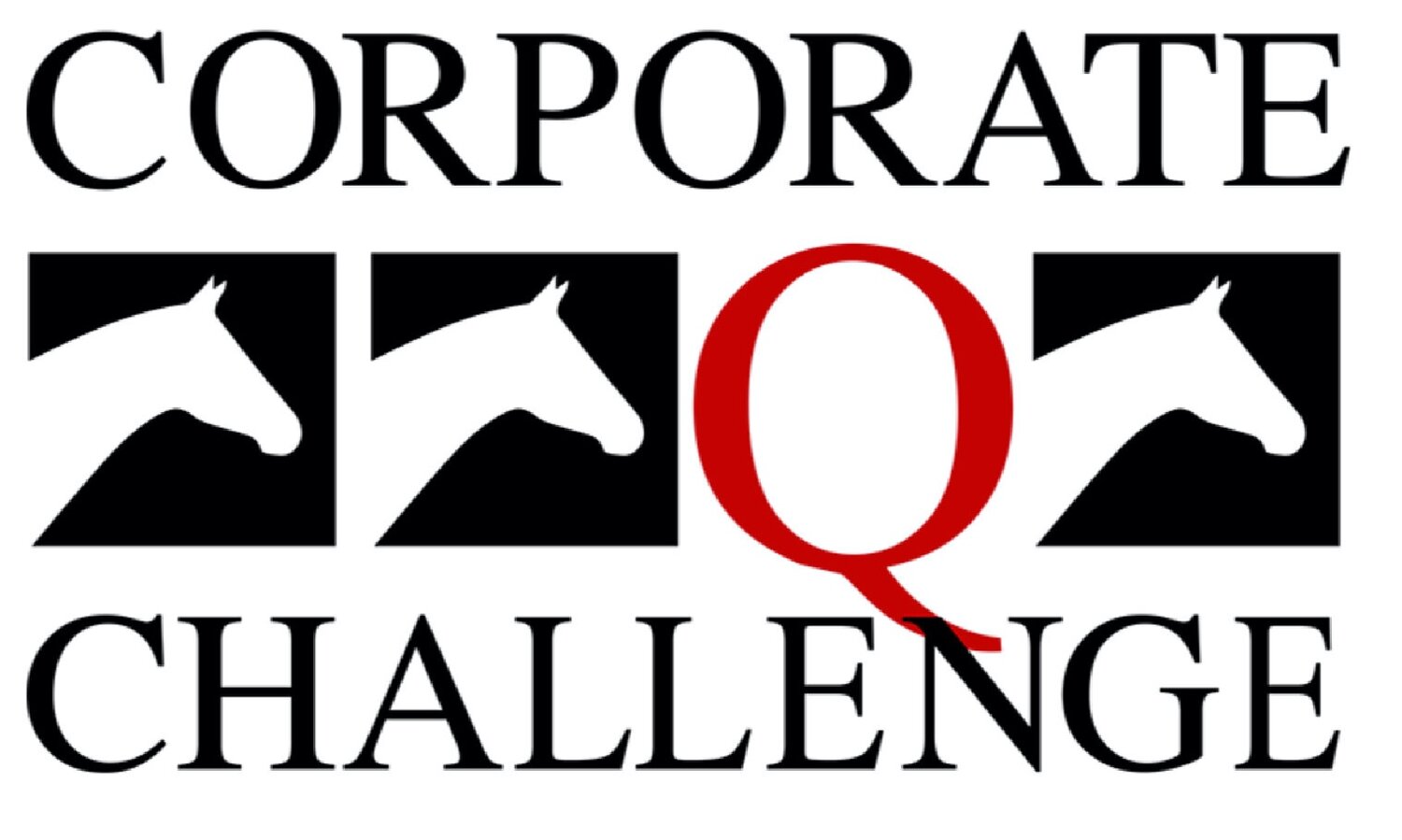 Minnesota Amateur Quarter Horse Association Corporate Challenge