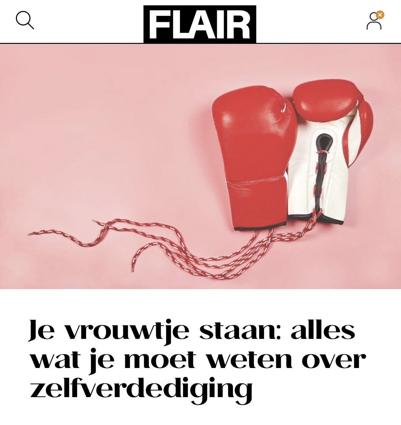 Artikel Flair magazine