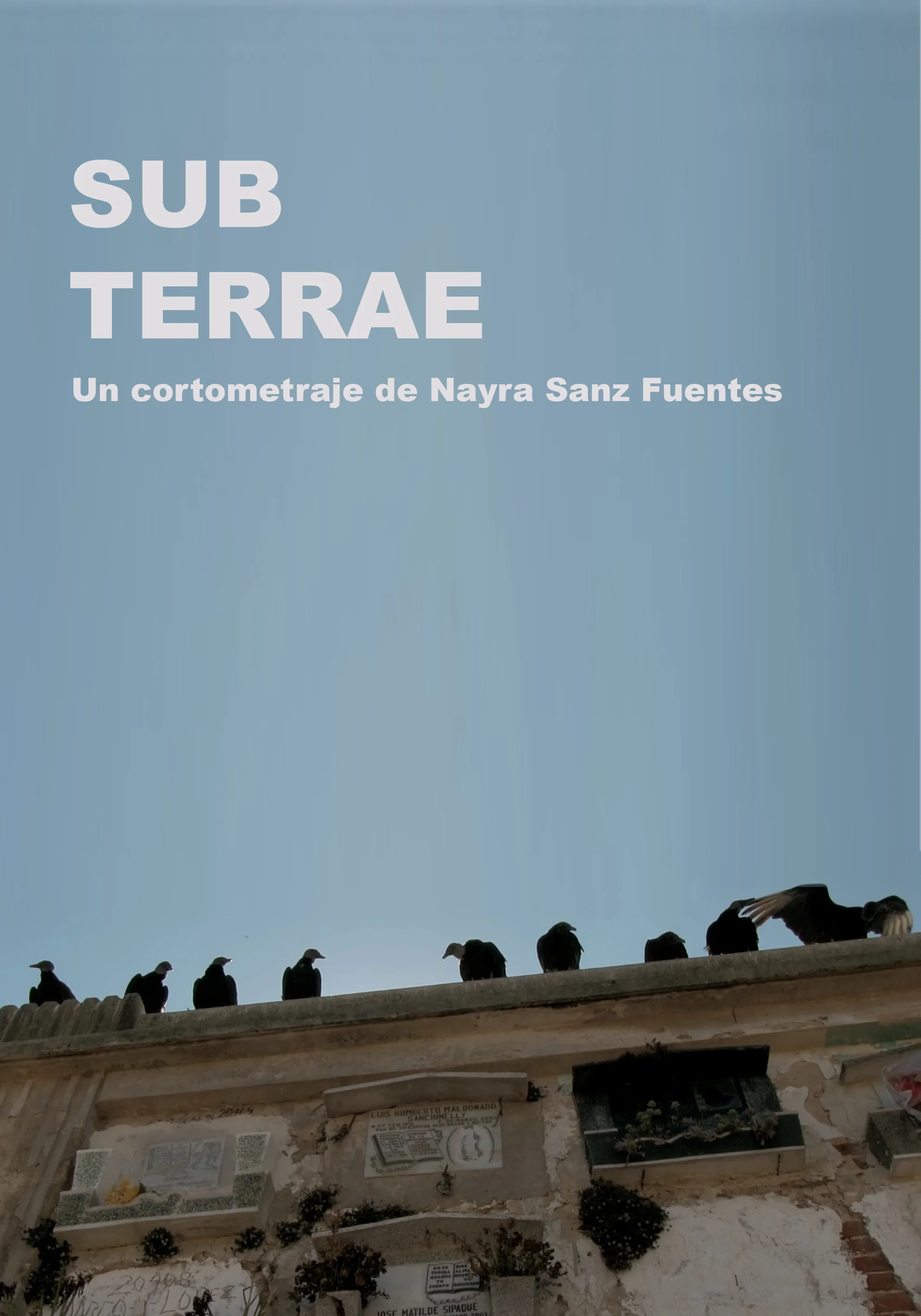subterrae poster.jpg