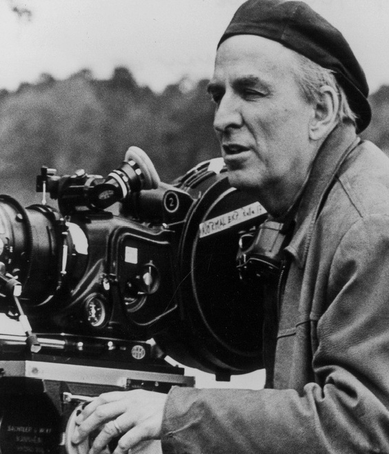 Bergman portada.png