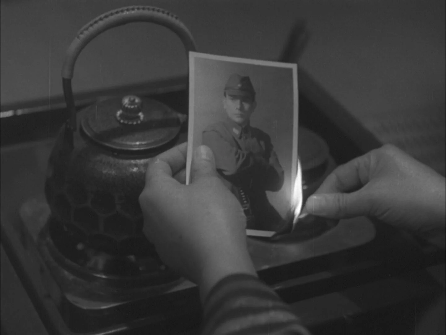 Crisantemos tardíos