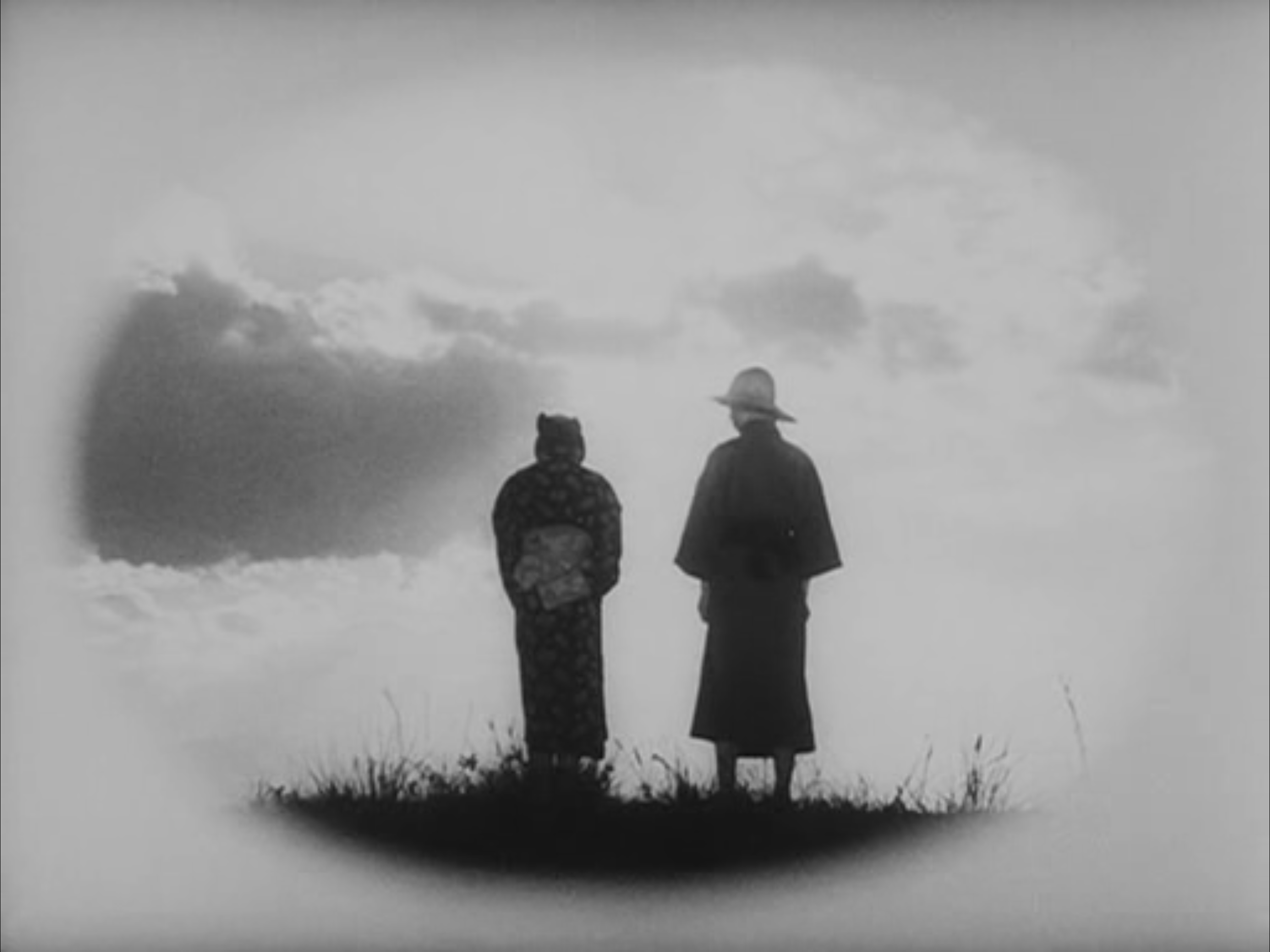 Ella era como un crisantemo salvaje