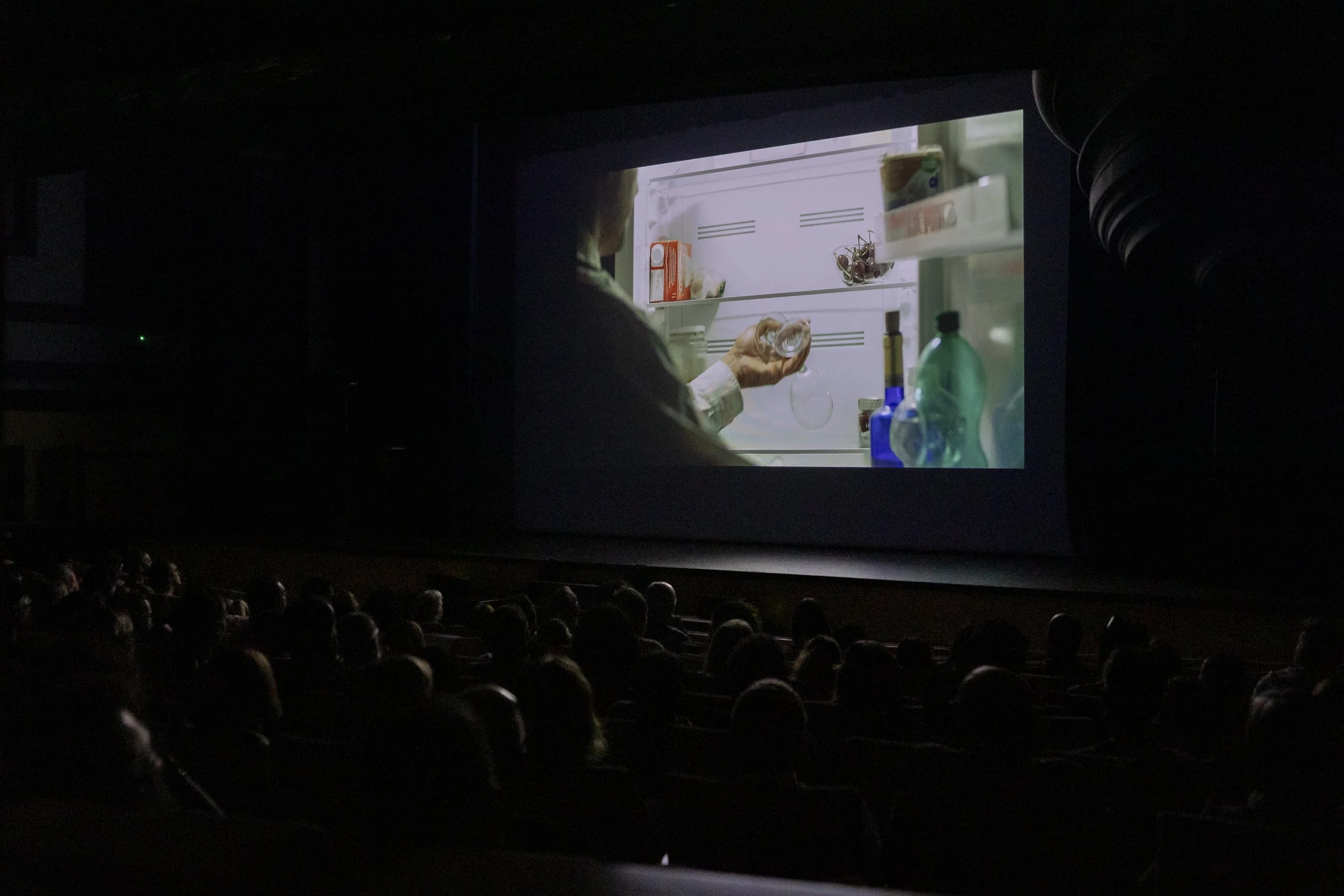 15ª MUESTRA VISIONARIA-90.JPG