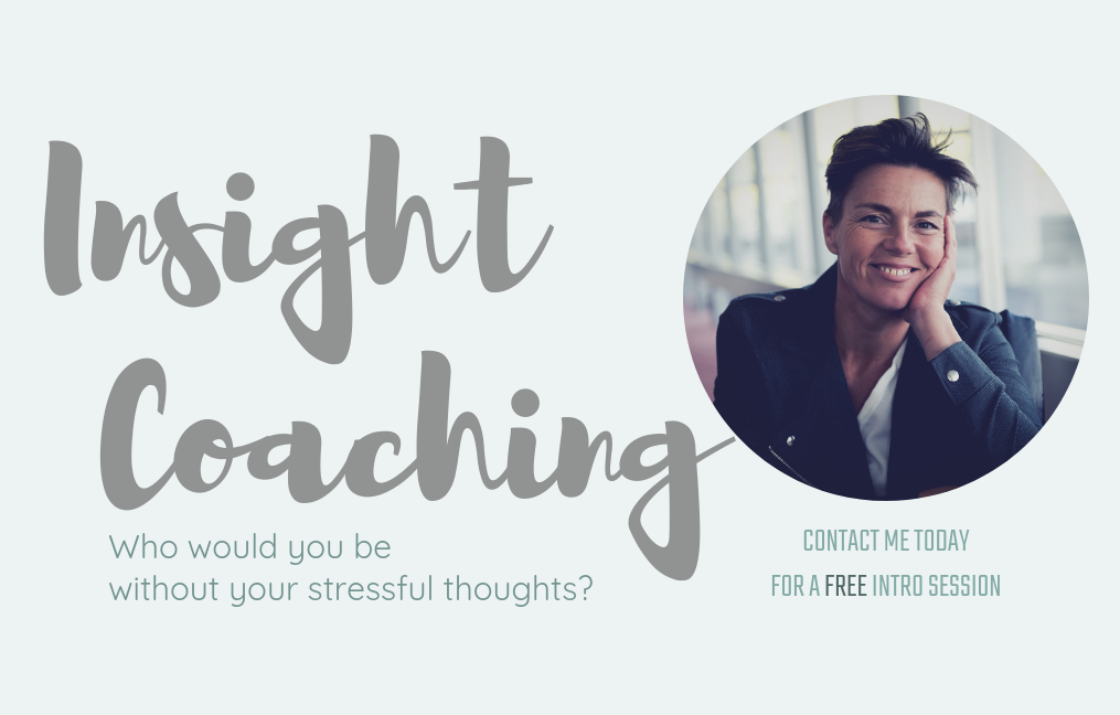 insight coaching with Maya Nova