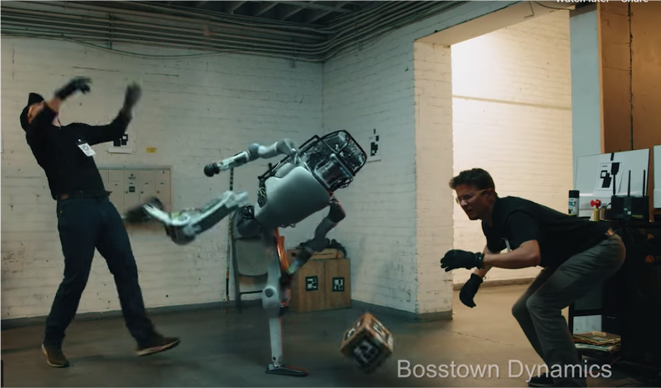 Bot fight.png